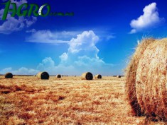 1agro.com.ua
