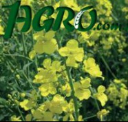 1agro.com.ua