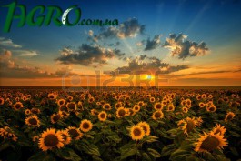 1agro.com.ua