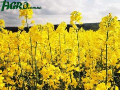 1agro.com.ua