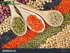 1agro.com.ua