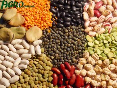 1agro.com.ua