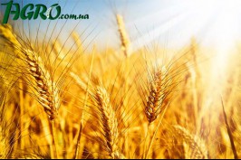 1agro.com.ua