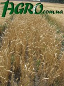 1agro.com.ua