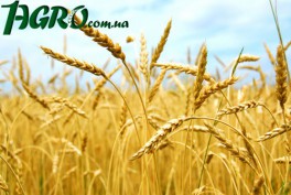 1agro.com.ua