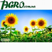 1agro.com.ua