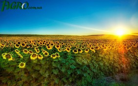 1agro.com.ua