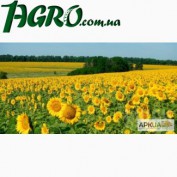 1agro.com.ua