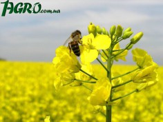 1agro.com.ua