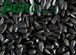 1agro.com.ua