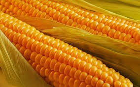 1agro.com.ua