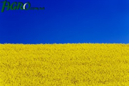 1agro.com.ua