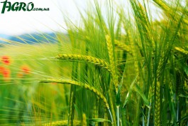 1agro.com.ua
