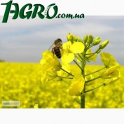 1agro.com.ua
