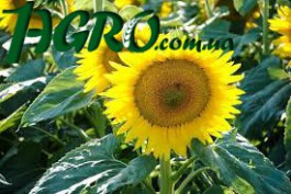 1agro.com.ua