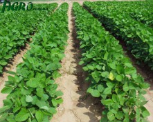 1agro.com.ua