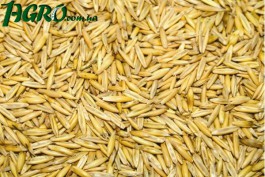 1agro.com.ua