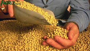 1agro.com.ua