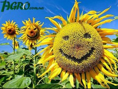 1agro.com.ua