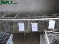1agro.com.ua