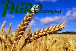 1agro.com.ua