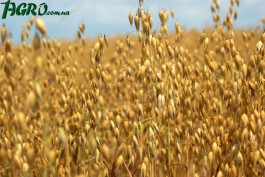 1agro.com.ua