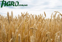 1agro.com.ua