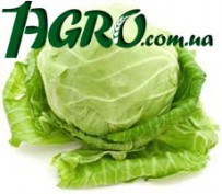 1agro.com.ua