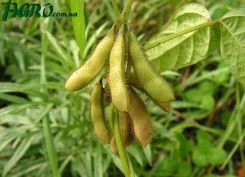 1agro.com.ua