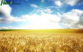 1agro.com.ua