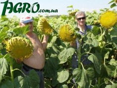 1agro.com.ua