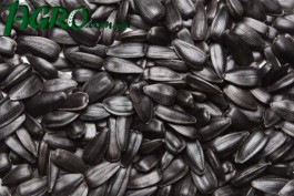 1agro.com.ua