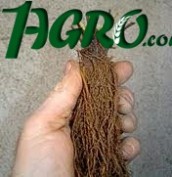 1agro.com.ua