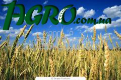 1agro.com.ua