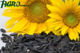 1agro.com.ua