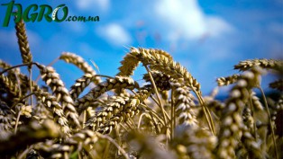 1agro.com.ua