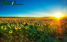 1agro.com.ua