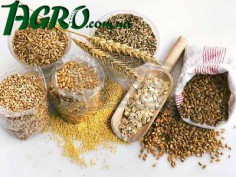 1agro.com.ua