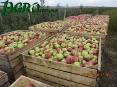 1agro.com.ua