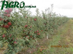 1agro.com.ua