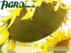 1agro.com.ua