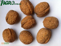 1agro.com.ua