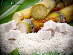 1agro.com.ua