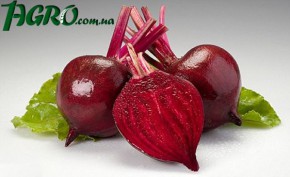 1agro.com.ua