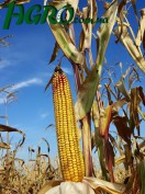 1agro.com.ua