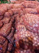1agro.com.ua