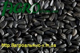 1agro.com.ua