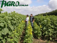 1agro.com.ua