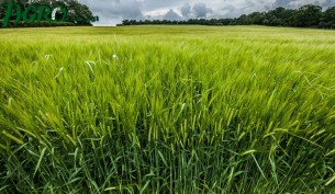 1agro.com.ua
