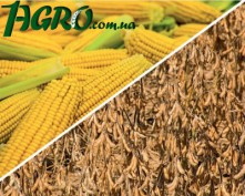 1agro.com.ua